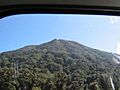 Bosque nuboso de los flancos del volcán