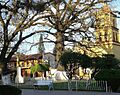 Centro en Ocampo, Tamaulipas