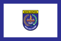 City Flag of Depok