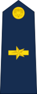 Colombia-AirForce-OF-3
