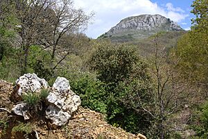 Archivo:Cueto de San Mateo desde La Pola de Gordón