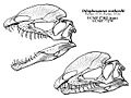 Dilophosaurus Qilong
