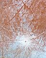 Europa Pwyll
