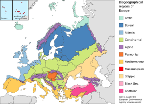 Archivo:Europe biogeography countries en