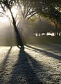 Fog in Albuquerque - AAfog3