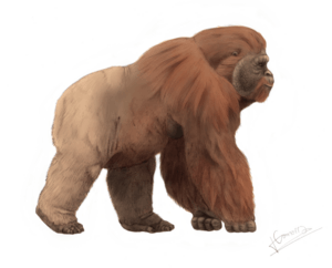 Archivo:Gigantopithecus