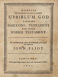 Archivo:Houghton AC6 Eℓ452 663m - John Eliot, 1663, title