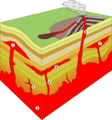 Intrusion types