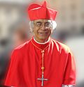 Archivo:Leopoldo José Cardinal Brenes Solórzano (cropped)