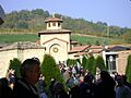 Manifetazione facista al cimitero di predappio
