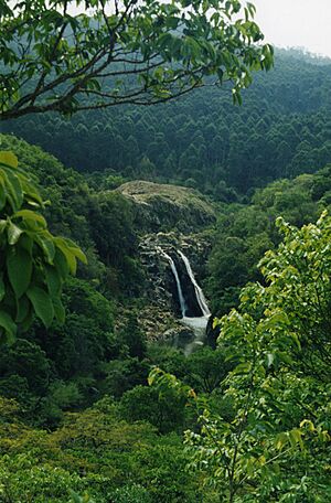 Archivo:Mantenga Falls