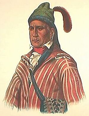 Archivo:Menawa