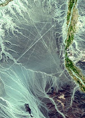 Archivo:NEO nazca lines big