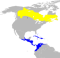 Oreothlypis peregrina map