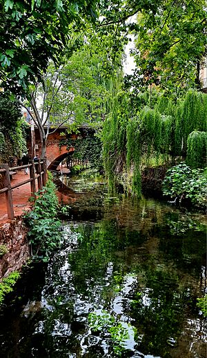 Archivo:Paseo por el río Salobre