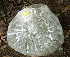 Archivo:Petroglifos en Guayabo