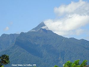 Archivo:Pico Bonito