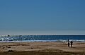 Platja de Ribes Roges (Vilanova i la Geltrú) - 9