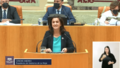 Pleno del Parlamento. N. 46. (07102021)