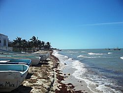 Santa Clara (Dzidzantún), Yucatán (01).JPG