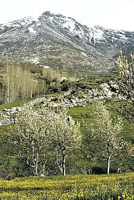 Sierra del Cabezo 2.jpg