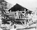 Sutters Mill