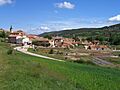 Terzaga 2
