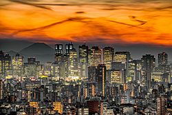 Tokyo Skyline20210123.jpg