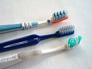 Archivo:Toothbrush x3 20050716 002