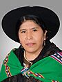 Toribia Lero Quispe (Official Photo, 2020) Chamber of Deputies of Bolivia