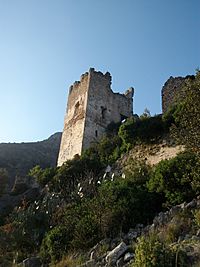 Archivo:Torre del Castell de Perputxent, l'Orxa
