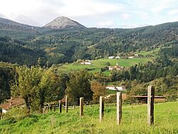 Vista de Araotz.jpg