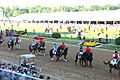 2012 Preakness Stakes post parade