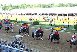 Archivo:2012 Preakness Stakes post parade