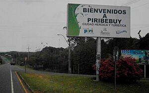 Archivo:Acceso a Piribebuy por la Ruta PY02