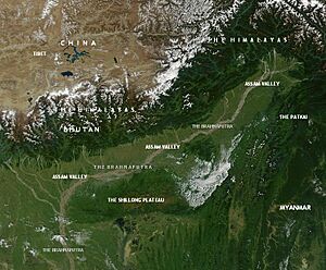 Archivo:Assam Valley