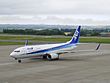 Boeing 737-800 (All Nippon Airways) 60.jpg