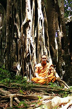 Archivo:Buddhist monk in Khao Luang-Sukhothai