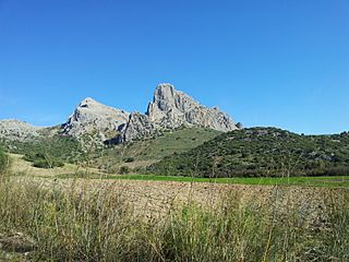 Camarolos 09.jpg