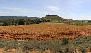 Campillos-Paravientos.jpg
