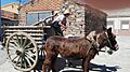 Carro tirado por burros. Típico en Zamora