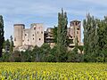 Castillo de Castilnovo