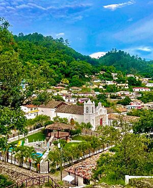 Archivo:Cedros Captura josephrosales