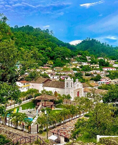 Cedros Captura josephrosales