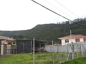 Archivo:Cerro Huahualzhumi