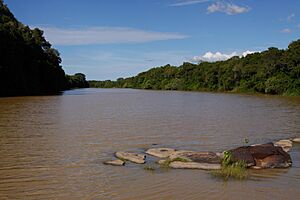 Archivo:Comoe river