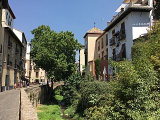 Río Darro para Niños