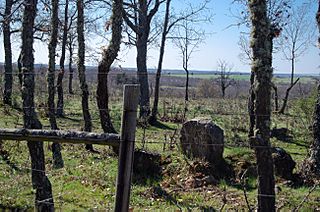 Dehesa de Valdellan abril 2014 13.jpg