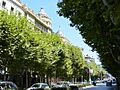 Donostia Avenida Libertad