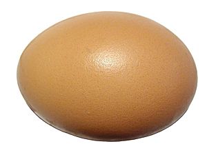 Archivo:Egg on white background